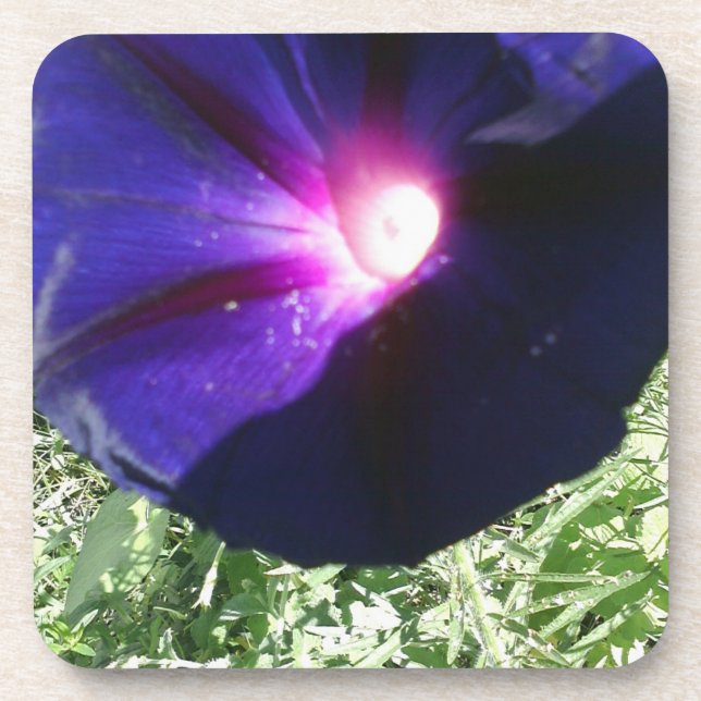 Posavasos Bonito floral (Frente)