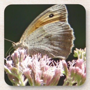 Posavasos Bonito mariposa grande