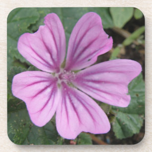 Posavasos Bonito Púrpura Flor de Corcho