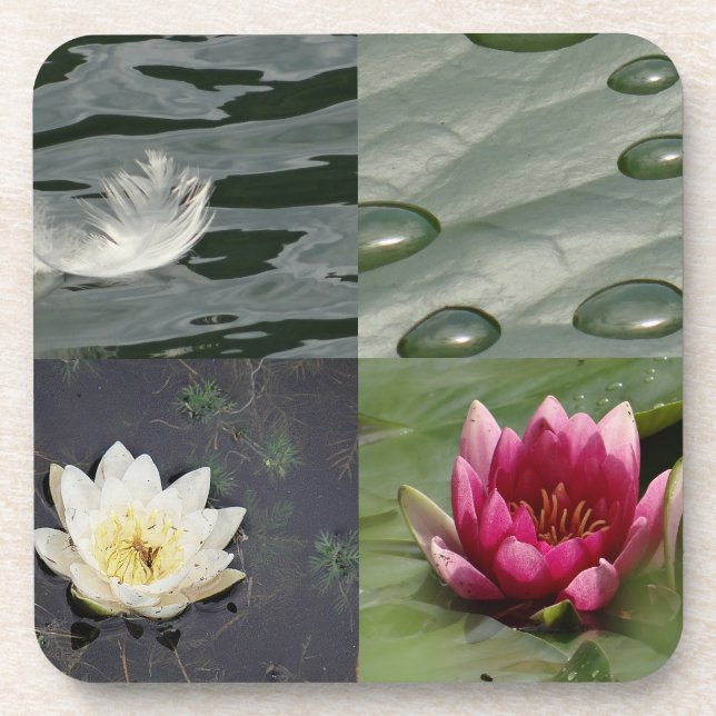 Posavasos Bonito Water Lilies (Frente)
