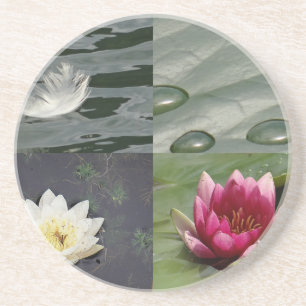 Posavasos Bonito Water Lilies