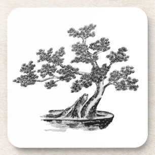 Posavasos Bonsai - Estilo Chino - negro y blanco