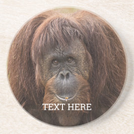 Posavasos Borneo Orangutan Beautiful Photography