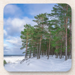 Posavasos Bosque de pino cerca de la costa marítima de Leton