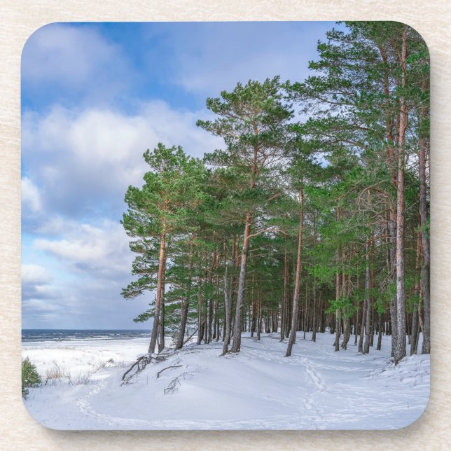 Posavasos Bosque de pino cerca de la costa marítima de Leton (Frente)