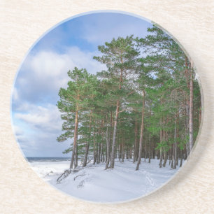 Posavasos Bosque de pino cerca de la costa marítima de Leton