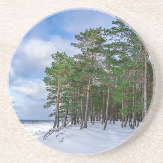 Posavasos Bosque de pino cerca de la costa marítima de Leton (Frente)