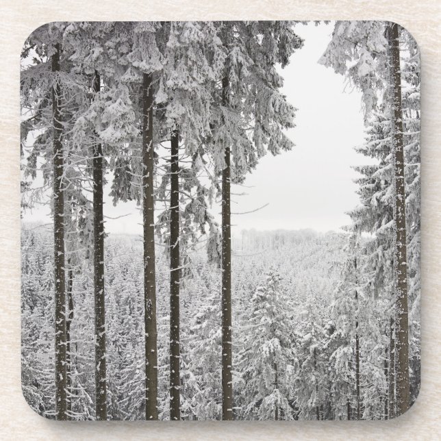 Posavasos Bosque imperecedero en invierno (Frente)