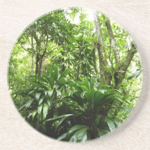 Posavasos Bosque lluvioso dominicano I Naturaleza tropical v