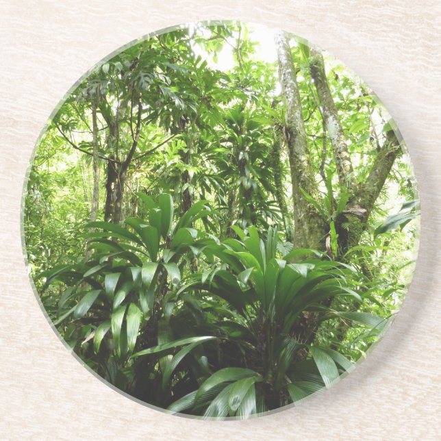 Posavasos Bosque lluvioso dominicano I Naturaleza tropical v (Frente)