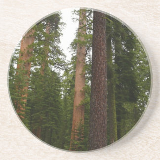 Posavasos Bosque Mariposa en el Parque Nacional Yosemite