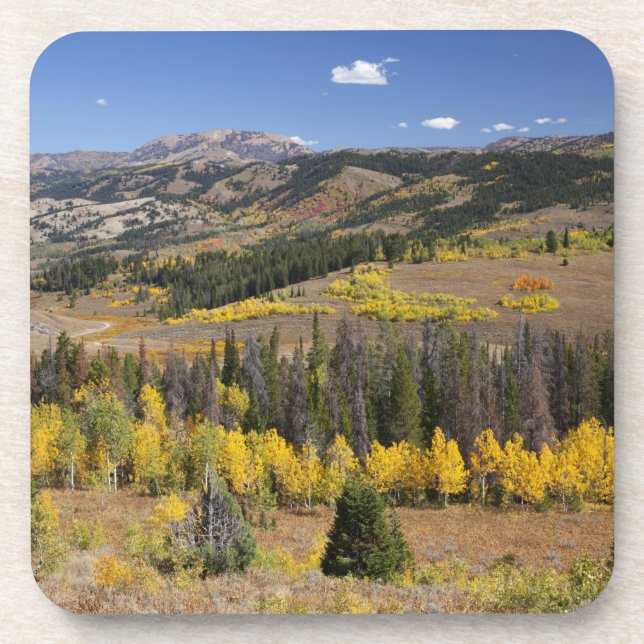 Posavasos Bosque nacional Bridger-Teton (Frente)