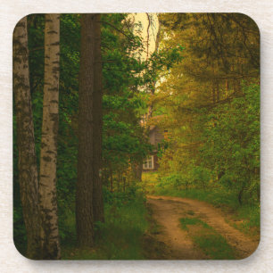 Posavasos Bosque natural Rural Hut Village Bielorrusia