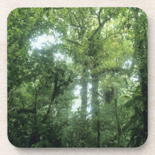 Posavasos Bosque Nuboso de Monteverde, Costa Rica.