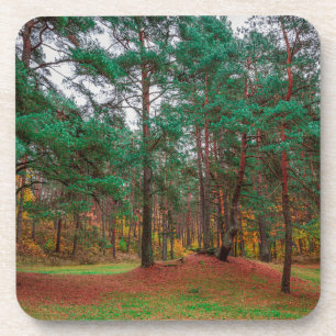 Posavasos Bosque otoñal