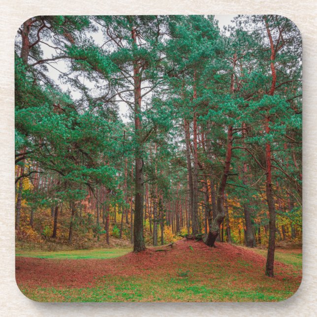 Posavasos Bosque otoñal (Frente)