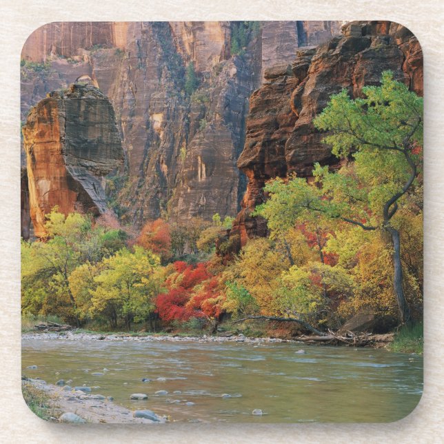 Posavasos Bosque otoñal a lo largo del río Virgin cerca de l (Frente)