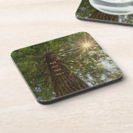 Posavasos Bosque Pacífico con Foto de Luz Dorada