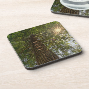 Posavasos Bosque Pacífico con Foto de Luz Dorada