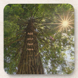 Posavasos Bosque Pacífico con Foto de Luz Dorada