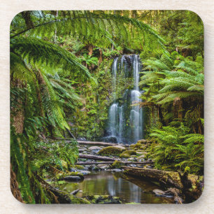 Posavasos Bosques Beauchamp Falls Australia