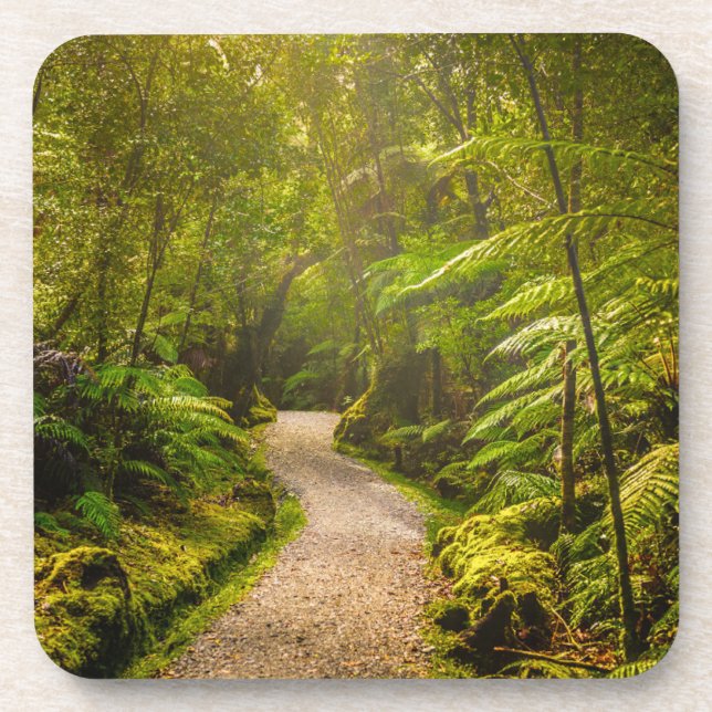 Posavasos Bosques | Camino al bosque (Frente)