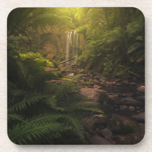 Posavasos Bosques   Cascada con los aspectos más destacados 