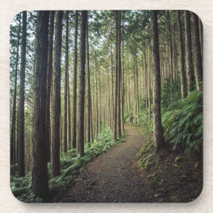 Posavasos Bosques   Montañas de Wakayama Japón
