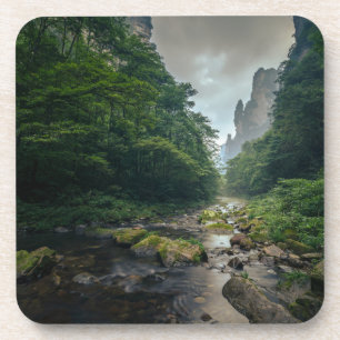 Posavasos Bosques   Parque forestal nacional Zhangjiajie