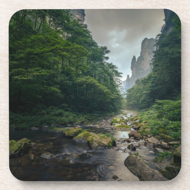 Posavasos Bosques | Parque forestal nacional Zhangjiajie (Frente)