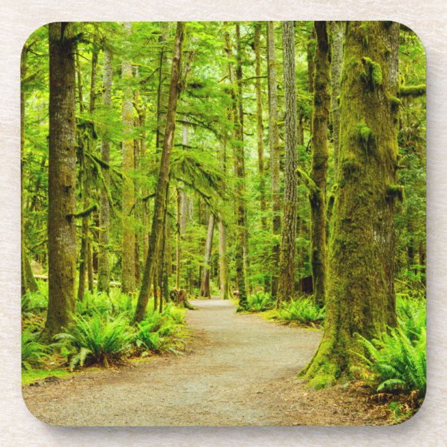 Posavasos Bosques | Parque nacional olímpico (Frente)