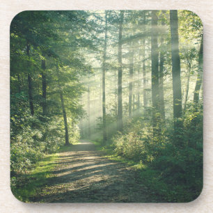 Posavasos Bosques   Ruta Forestal Hamburgo Alemania