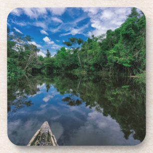 Posavasos Bosques   Selva de selva peruana