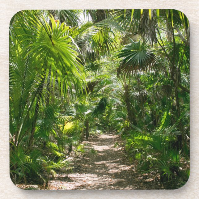 Posavasos Bosques | Tropical Rainforest Tulum Mexico (Frente)