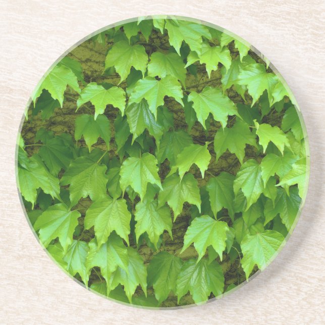 Posavasos Boston Ivy (Frente)