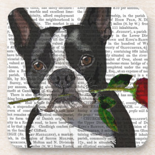 Posavasos Boston Terrier con Rosa en boca