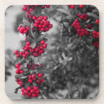 Posavasos Botánico de Bayas de Pyracantha Rojo y G