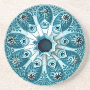 Posavasos Botryllus Polycyclus Ernst Haeckel Bella Artes