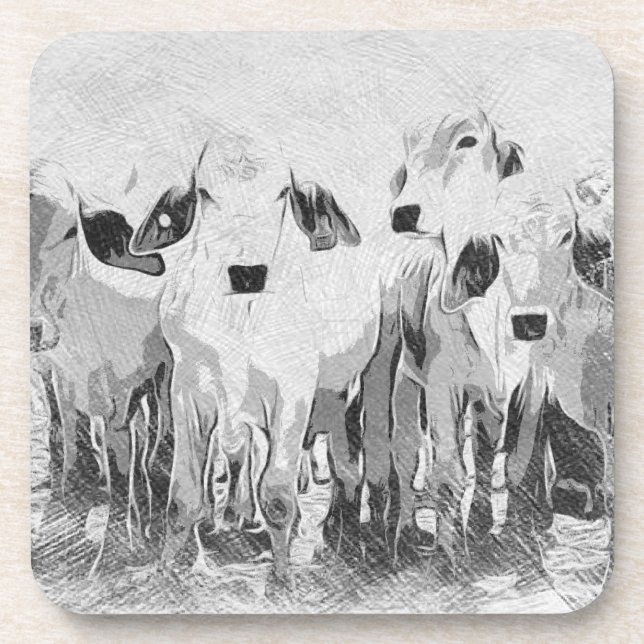 Posavasos Brah-avo Set de 6 Casas (Frente)