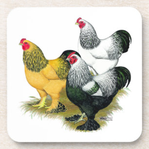 Posavasos Brahmas tres gallos