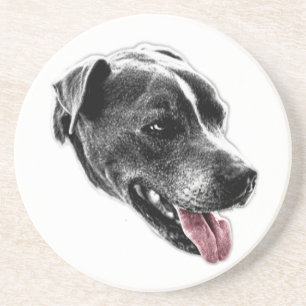 Posavasos Bright Pop Pitbull Mezcla la Pascua de Tonga Roja