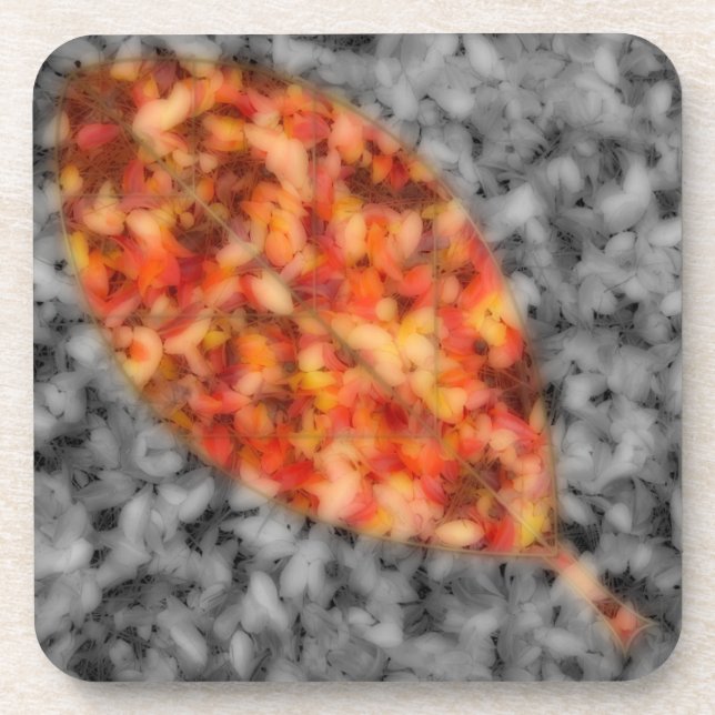 Posavasos Bright Shads Cork Coaster (Frente)