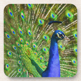 Posavasos Brillante Blue Peacock Beaster