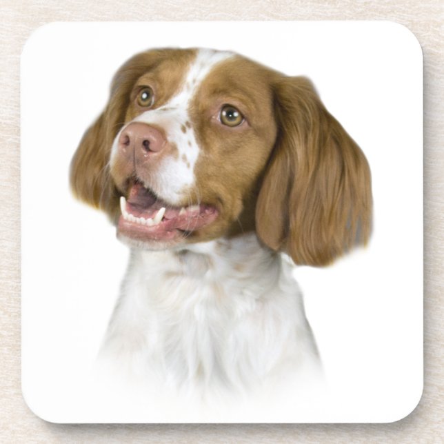 Posavasos Brittany Coasters (Frente)