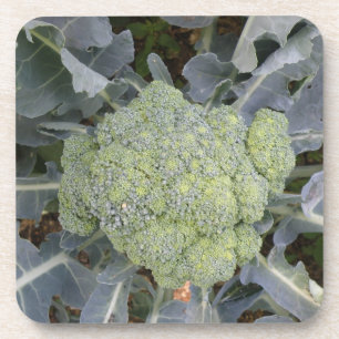 Posavasos Broccoli Cork Coaster