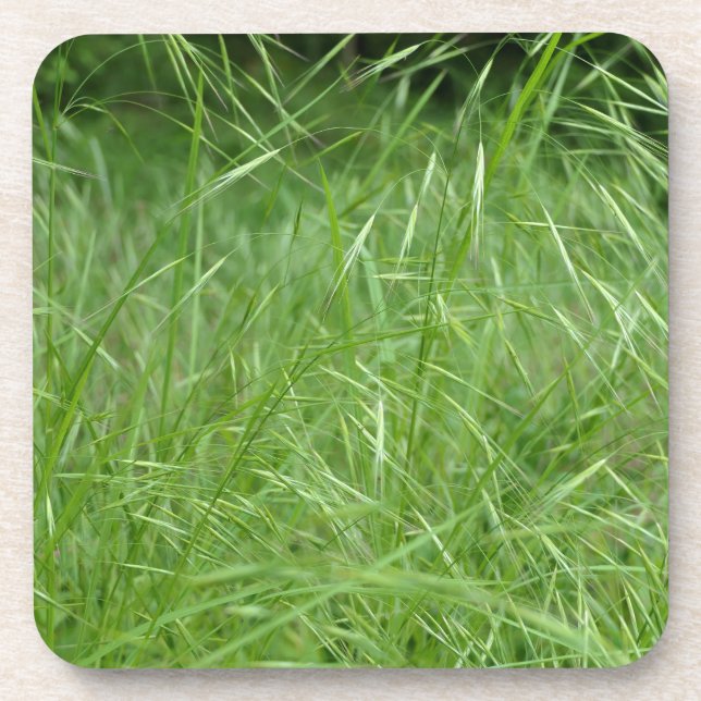 Posavasos Bromus tectorum (Frente)