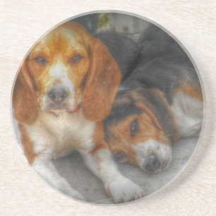 Posavasos Brother Beagles