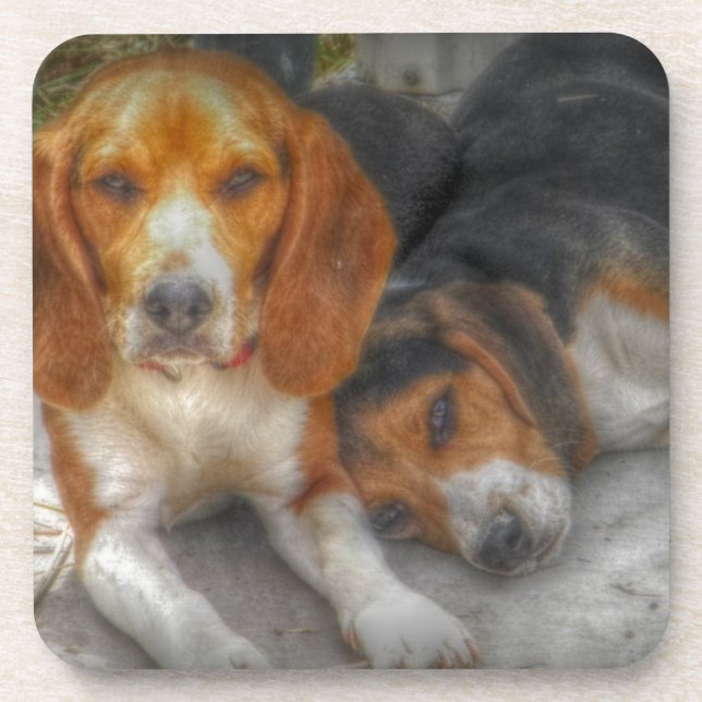 Posavasos Brother Beagles (Frente)
