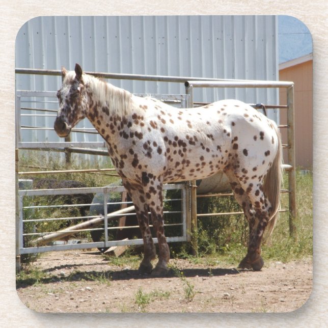 Posavasos Brown manchó los prácticos de costa del caballo (Frente)