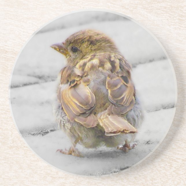 Posavasos Brown Sparrow (Frente)